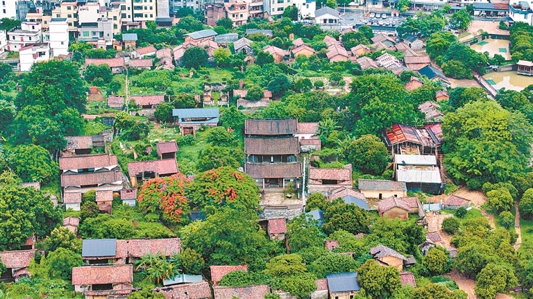钱岗村鸟瞰 钱岗村鸟瞰