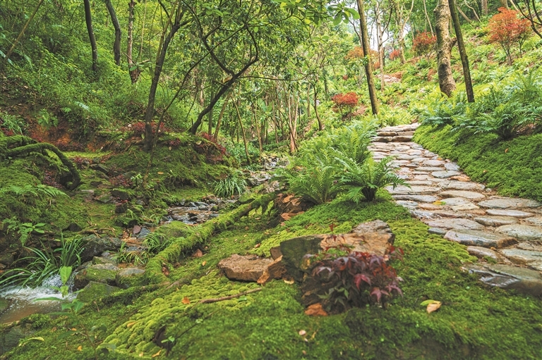 古驿道清溪谷。 古驿道清溪谷。