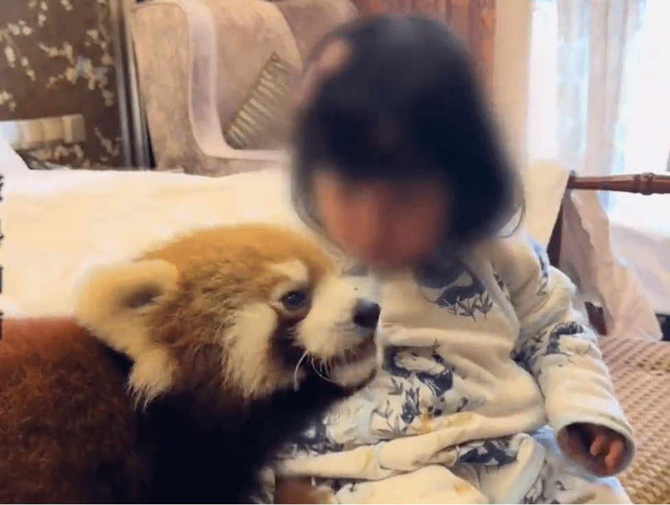 vlcsnap-2025-06-18-17h25m53s064 vlcsnap-2025-06-18-17h25m53s064