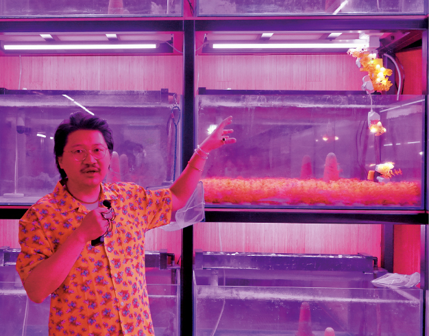 对养鱼有心得的观众,看到各种鱼缸的设定,大概知道养什么鱼。.jpeg 对养鱼有心得的观众,看到各种鱼缸的设定,大概知道养什么鱼。.jpeg