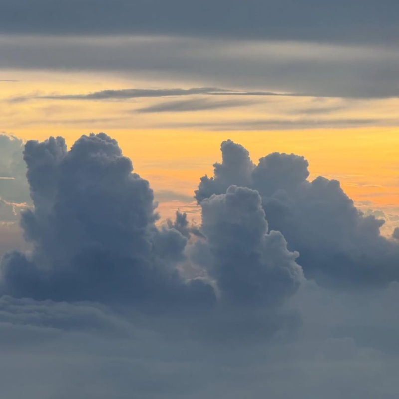 陈冠希于5月30日曾在ig分享一张在机上拍下的照片 陈冠希于5月30日曾在ig分享一张在机上拍下的照片