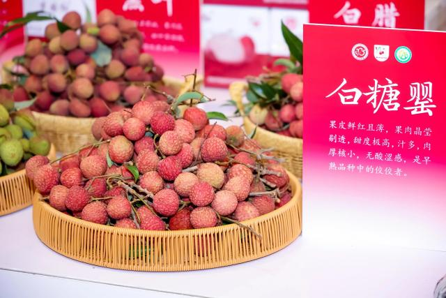 荔仙千年宴 荔仙千年宴