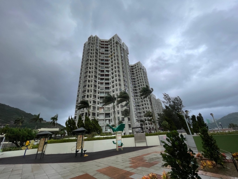 杏花邨海旁风势强劲。 杏花邨海旁风势强劲。