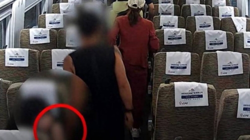 男子在北京的高铁上胸袭女乘客,被行拘10日。 男子在北京的高铁上胸袭女乘客,被行拘10日。