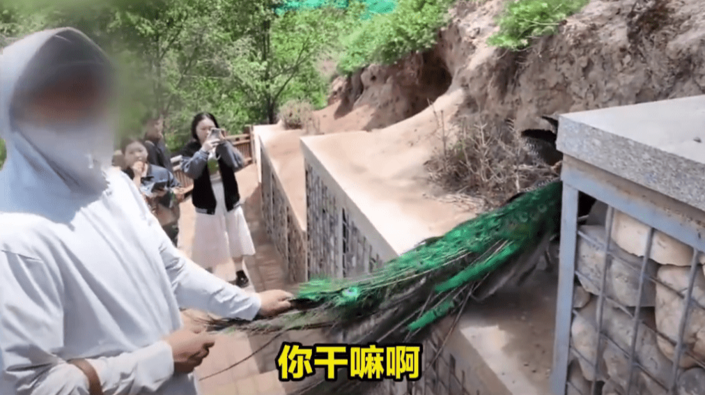 正在拍摄的男游客出言制止。 正在拍摄的男游客出言制止。