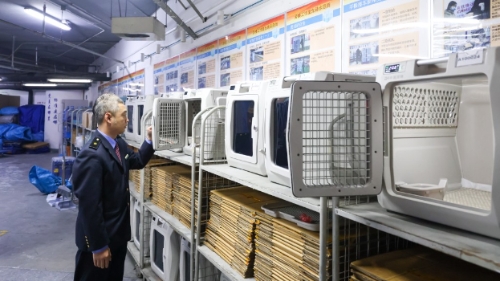 高铁扩大宠物托运试点 高铁扩大宠物托运试点