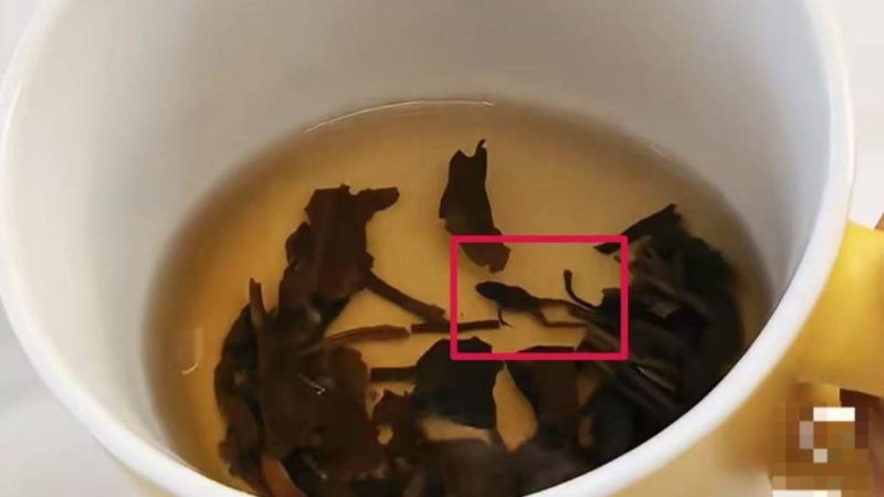 奈雪的茶疑喝出蛙尸。网图 奈雪的茶疑喝出蛙尸。网图