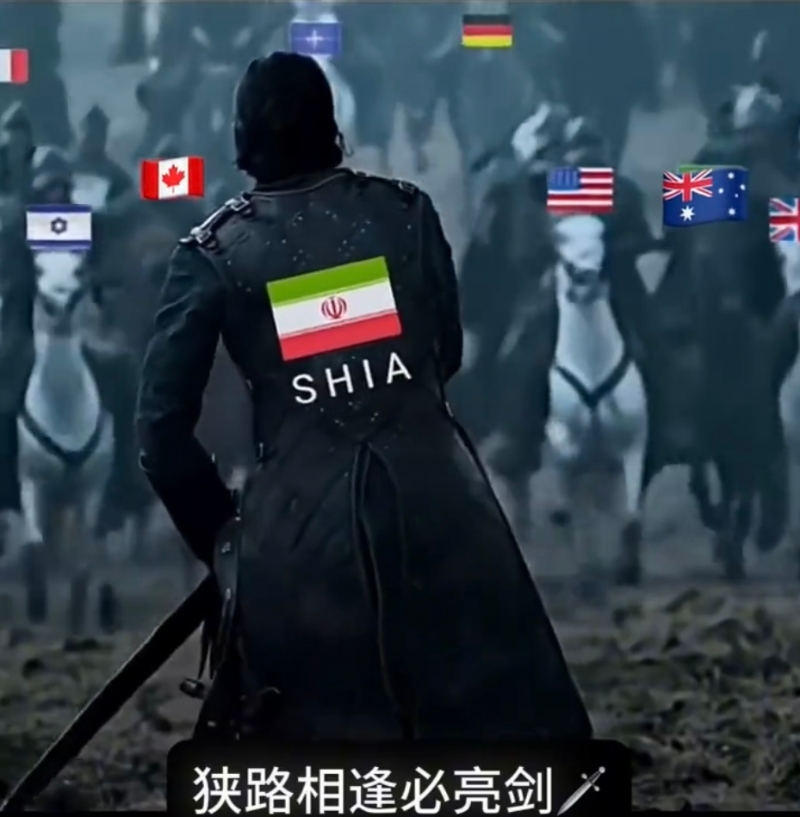 “敌人”是以英澳美加法德等国。 “敌人”是以英澳美加法德等国。