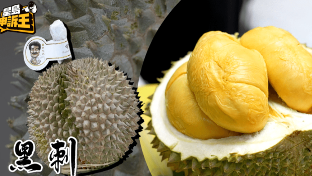 被誉为榴莲之王的黑刺,售价为128元一磅。 被誉为榴莲之王的黑刺,售价为128元一磅。