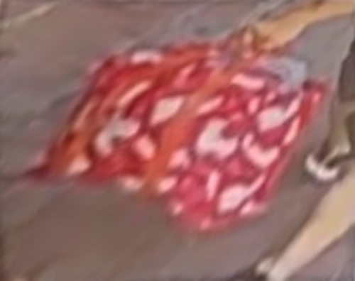 一名身穿灰衣、黑短裤的男子,持多袋物品出没长沙湾街头。 CCTV截图 一名身穿灰衣、黑短裤的男子,持多袋物品出没长沙湾街头。 CCTV截图