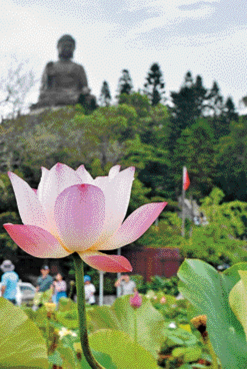 DSC_5461newX42_fmt DSC_5461newX42_fmt