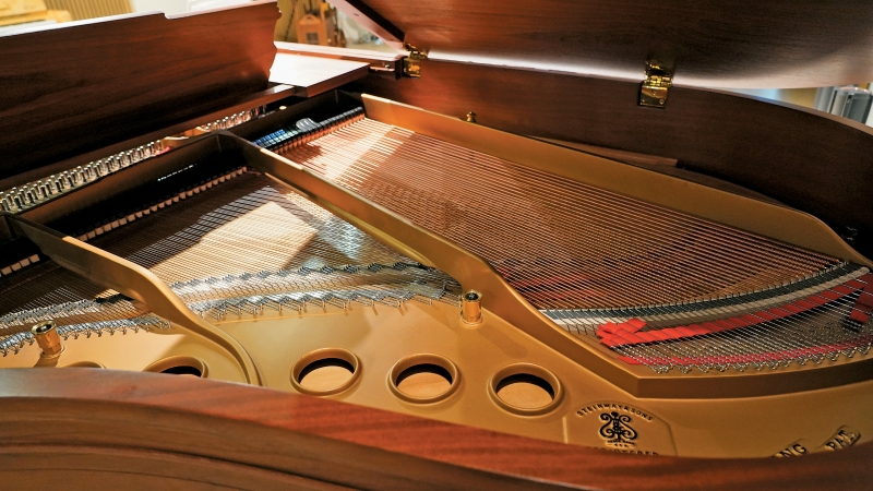 FEA21P10260625 copy FEA21P10260625 copy