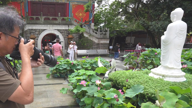 vlcsnap-2025-06-25-18h04m34s677 vlcsnap-2025-06-25-18h04m34s677