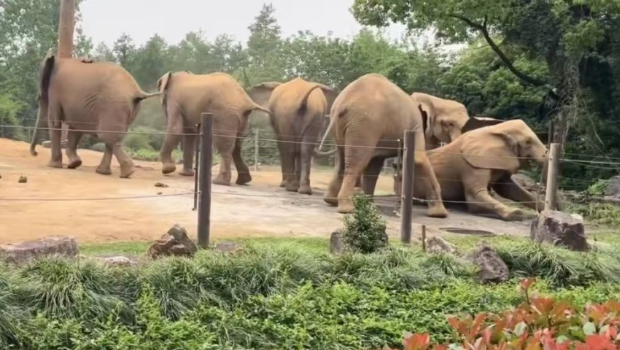 836d3c8674a5ad653b2d82814556650 836d3c8674a5ad653b2d82814556650