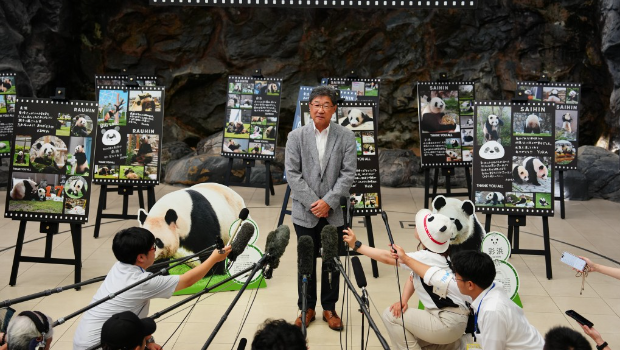 日本和歌山县4只大熊猫踏上回国旅程。 日本和歌山县4只大熊猫踏上回国旅程。