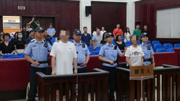 为博流量造谣大熊猫被虐 为博流量造谣大熊猫被虐