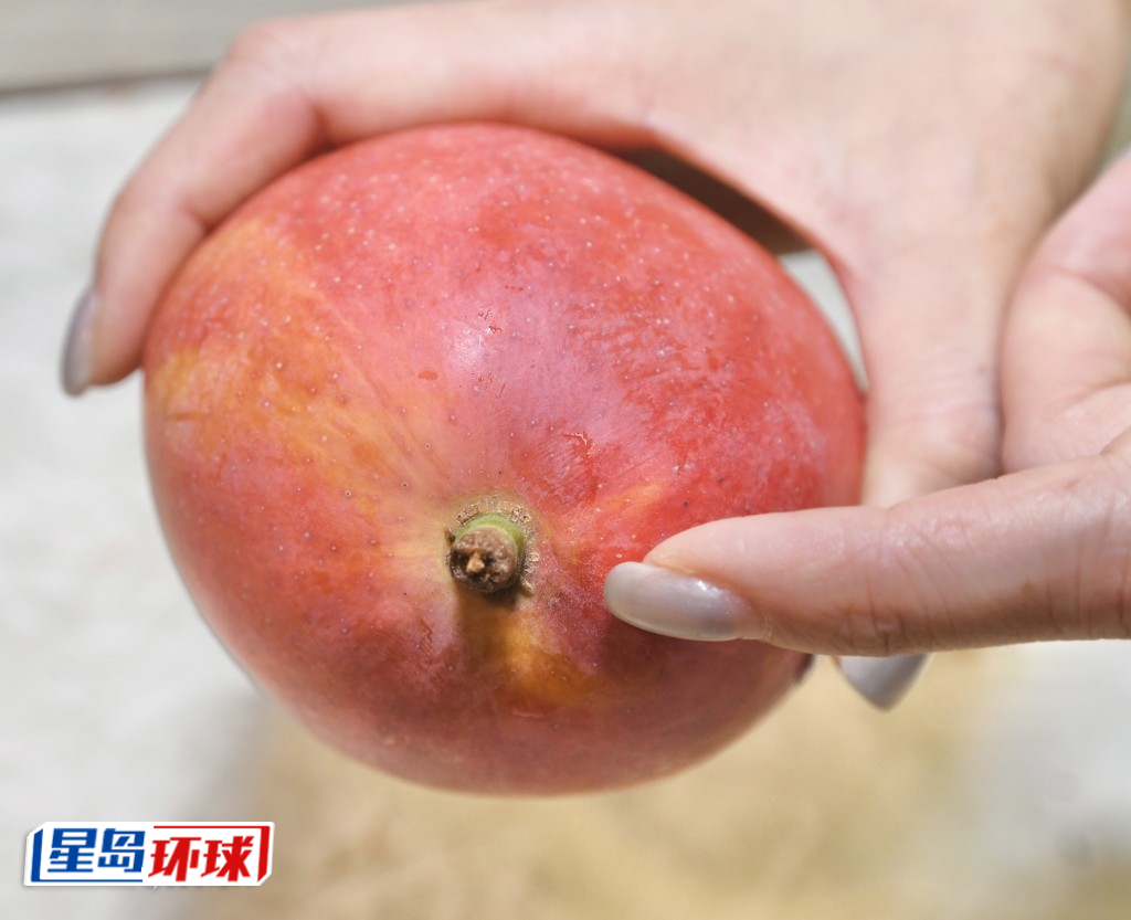 AE250604MG06 AE250604MG06