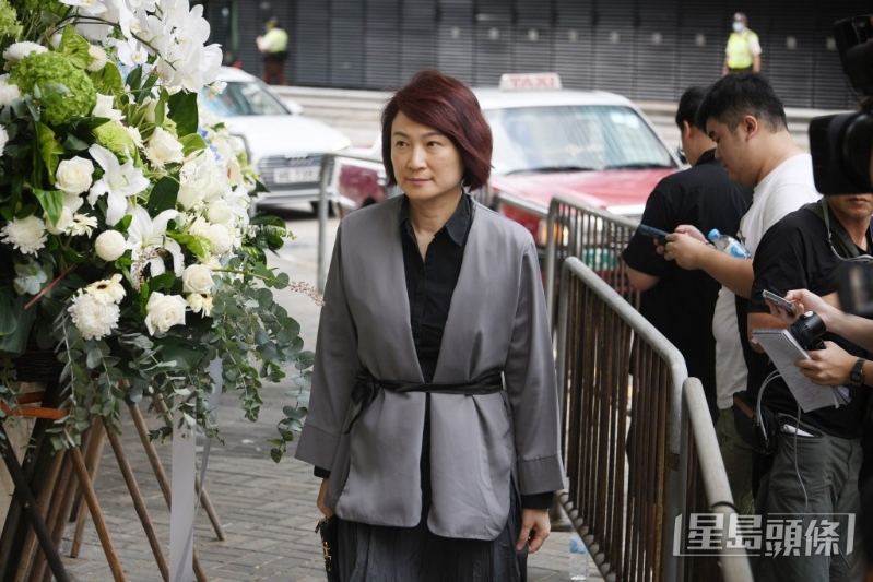 全国人大常委、民建联李慧琼。 全国人大常委、民建联李慧琼。