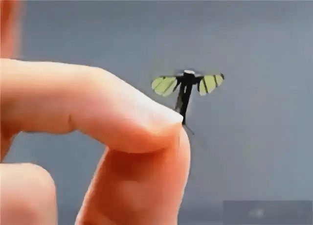 蚊子机械人只有仅仅2厘米长、重仅0.3克。 蚊子机械人只有仅仅2厘米长、重仅0.3克。