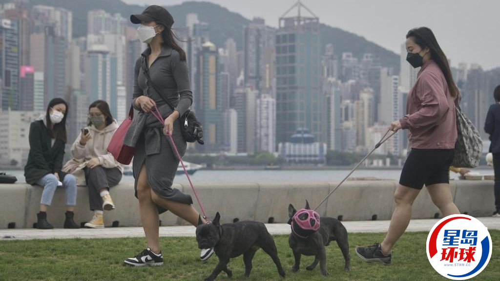 不少市民饲养猫狗,近年亦有市民喜欢饲养异宠。 不少市民饲养猫狗,近年亦有市民喜欢饲养异宠。