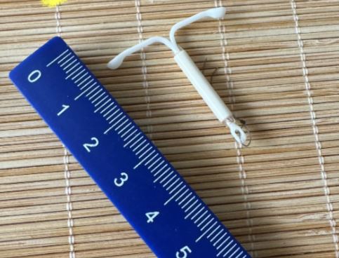 陶静被枪决前,坚持要把体内避孕环摘除。 陶静被枪决前,坚持要把体内避孕环摘除。