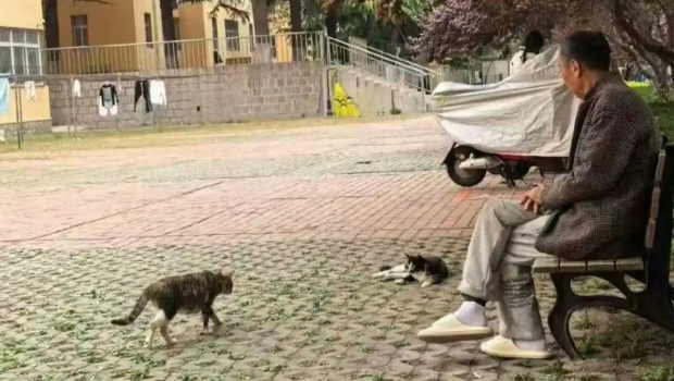 网传该名宿舍管理员照片。 网传该名宿舍管理员照片。