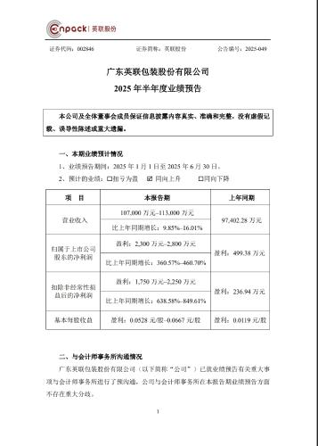 业绩预告 业绩预告