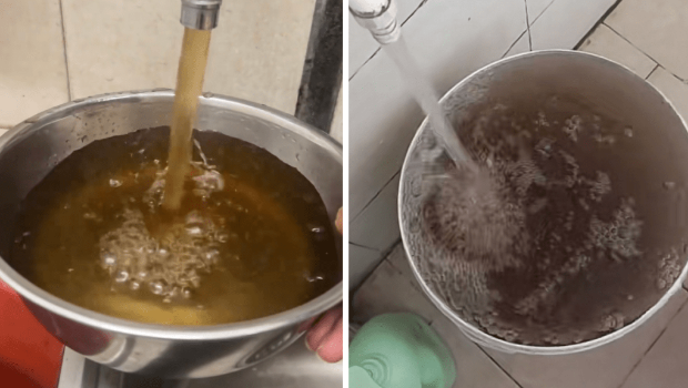 广东江门多区自来水呈深黄带异味 广东江门多区自来水呈深黄带异味