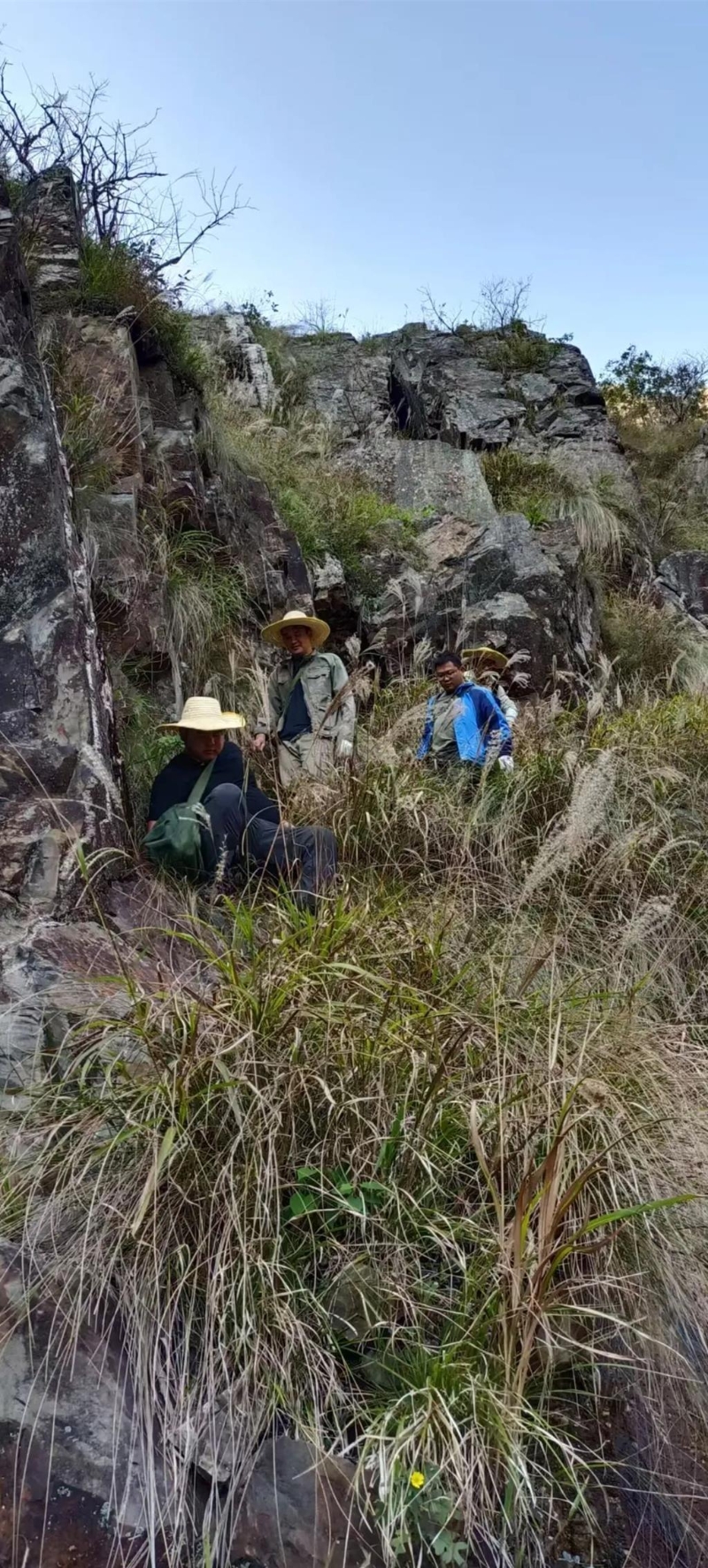 湖南发现大型锂矿,矿石藏量达4.9亿吨。 湖南发现大型锂矿,矿石藏量达4.9亿吨。