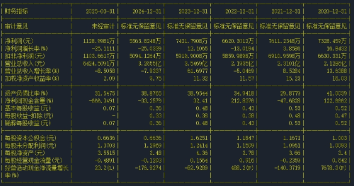 财务指标 财务指标