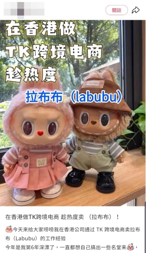Labubu Labubu
