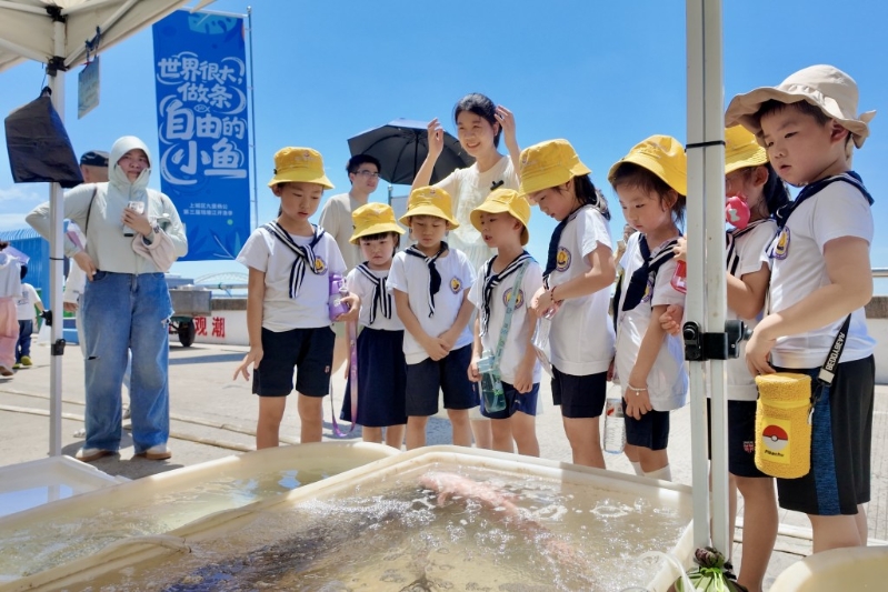 小朋友,中新社 小朋友,中新社