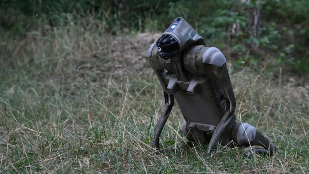 一只带有军事功能的机器狗 一只带有军事功能的机器狗