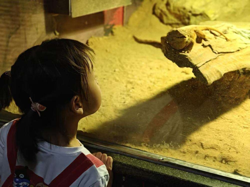 广州动物园首推“海陆空一夜营” 广州动物园首推“海陆空一夜营”