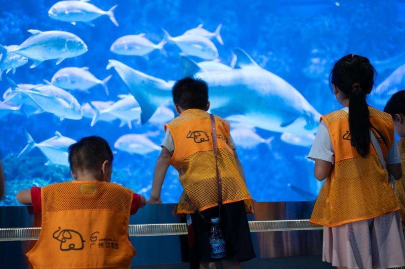 动物王国 动物王国