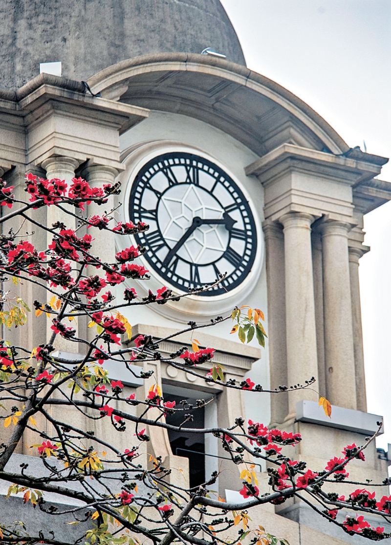 摄影 廖雪明-lxm240318 (3)-FZ102814110870