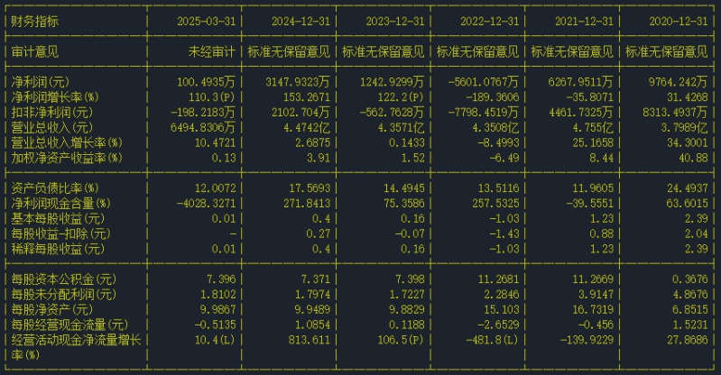财务指标 财务指标