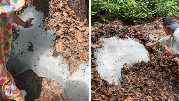 辽宁景区三伏天惊现大冰块。 辽宁景区三伏天惊现大冰块。