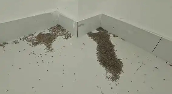 蚊子被热死 蚊子被热死