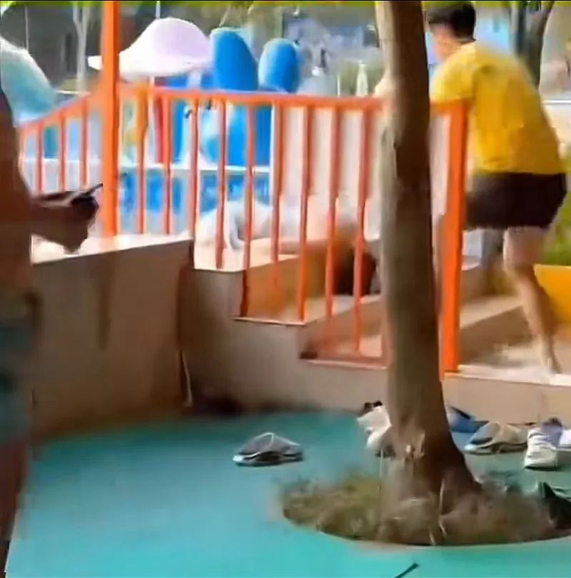 视频截图 视频截图