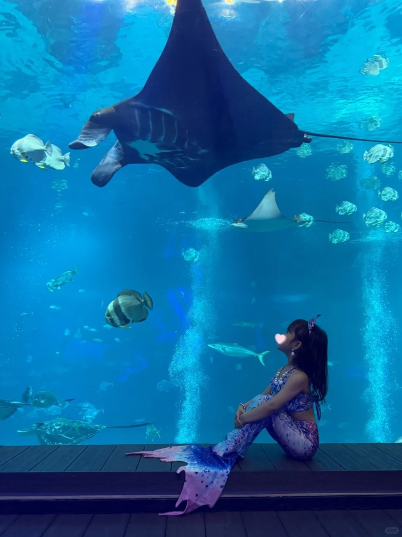 林峯囡囡扮美人鱼。 林峯囡囡扮美人鱼。