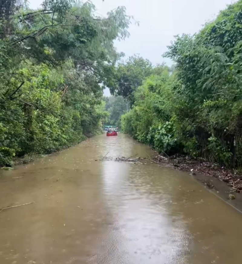 粉锦公路被水淹浸,有私家车被困。 粉锦公路被水淹浸,有私家车被困。