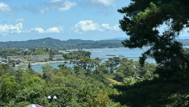 东北旅游团在酒店范围内拍摄对出的照片。 东北旅游团在酒店范围内拍摄对出的照片。