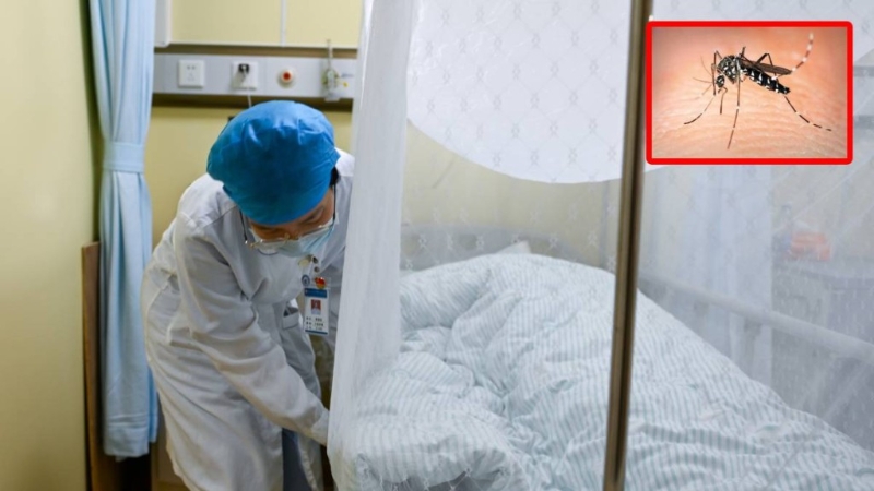 有专家提醒,基孔肯尼亚热患者出现的关节痛,多数在手腕及足踝。 有专家提醒,基孔肯尼亚热患者出现的关节痛,多数在手腕及足踝。