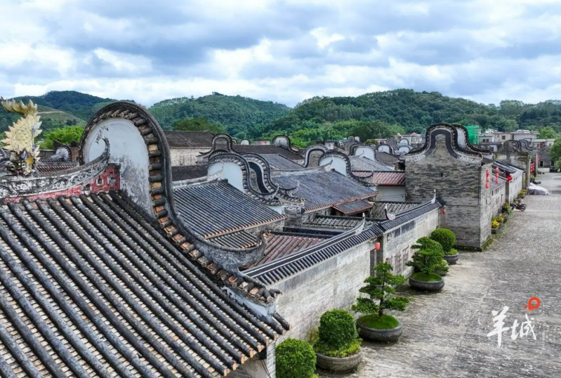 新韵正浓 新韵正浓