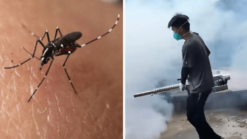 基孔肯尼亚热5 基孔肯尼亚热5