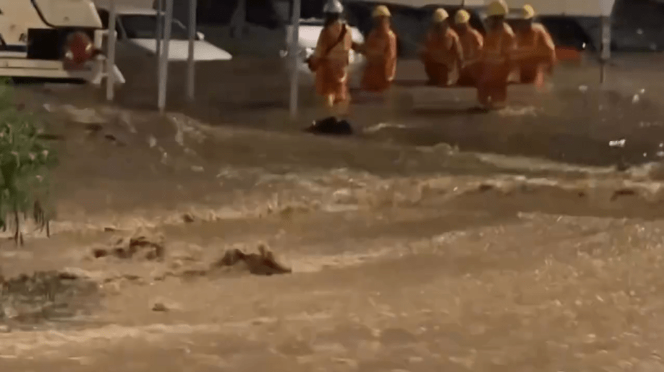 救援人员 救援人员