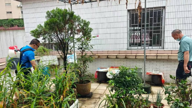 佛山全市大力灭蚊,有机构因清理积水不力被行政处罚。 佛山全市大力灭蚊,有机构因清理积水不力被行政处罚。