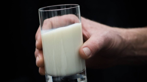 生乳细菌 生乳细菌