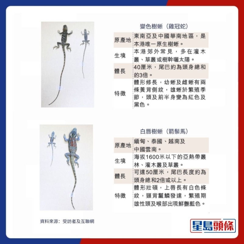 PHOTO_3__0 PHOTO_3__0